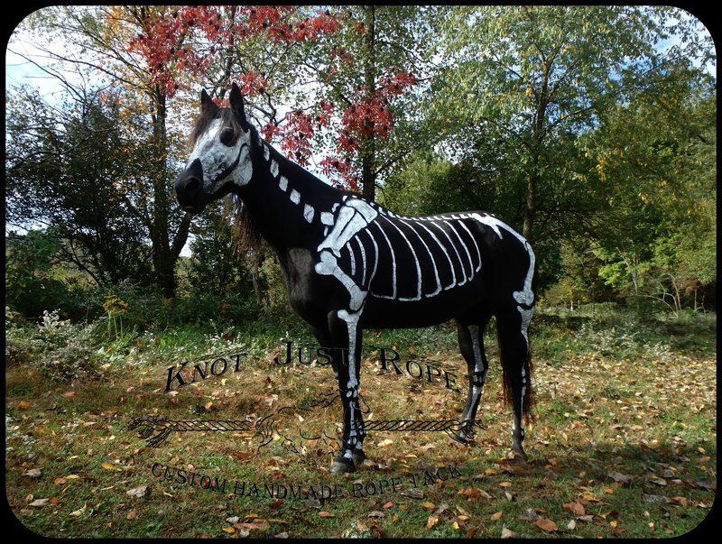 hors